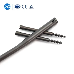 Factory Price Titaniuam Orthopedic Implants Surgical Femoral Pfna Gamma Interlocking Intramedullary Nail
