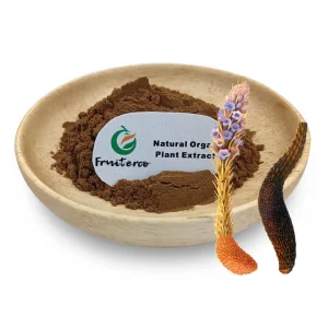 Cistanche Deserticola Extract Powder