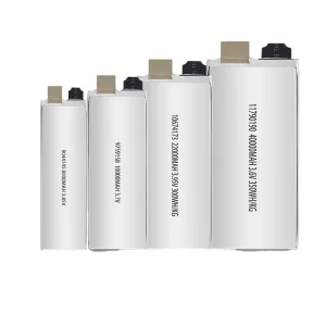 OEM Lipo Battery
