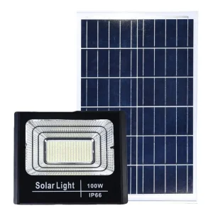 Outdoor Induction Garden Light