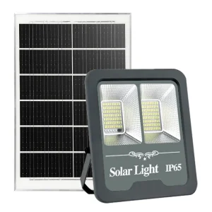 Sensor Solar Flood