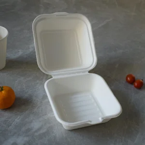 Disposable Biodegradable Packaging