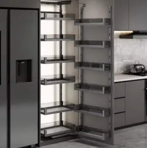 Modern Kitchen Pantry Unit