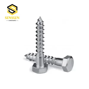 Stainless Steel Lag Screws