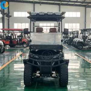 Airport Sightseeing Buggy