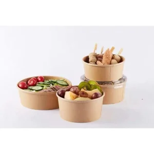 Biodegradable Eco-Friendly Food Container Made of Kraft Paper