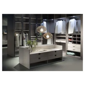Modern Walk in Closet Wardrobe With Accessories Elegant Walk in Closet Wardrobe Glass Doors Walk in Closet Bedroom
