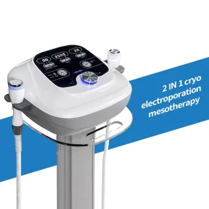 2 in 1 Electroporation