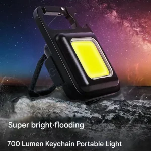Portable Driving Lights