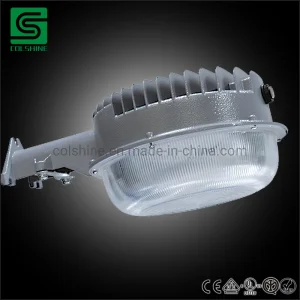 ضوء حديقة كولشاين LED