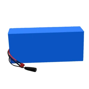 Lithium Ion Battery Pack