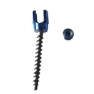 Pedicle Screws