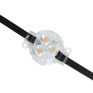 Outdoor RGBW Light Strings