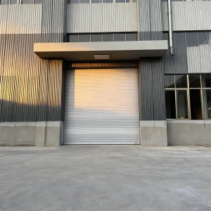 Thermal Insulated Industrial Sectional Door for Cold Storage