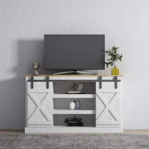 Barn Door TV Stand