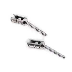 Posterior Spinal Screw-Rod System