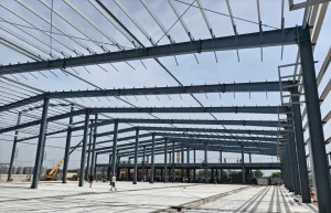 Steel Structure Storage Building