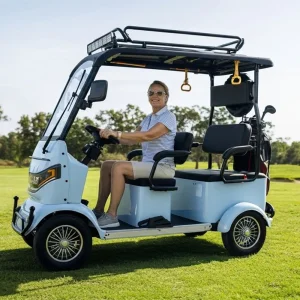 Holladay City Ebike 4-Wheel Utility Vehicle 1000W Scooters 72V Electric Golf Cart