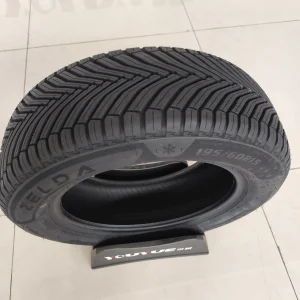 Dovroad Zelda Lykeen E509 Winter Tire