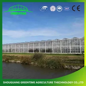 Polycarbonate Greenhouse
