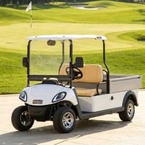 Novo Veículo Elétrico Utilitário 48V