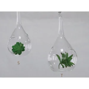 Clear Hanging Succulent Air Plant Terrarium with Rope Decoration