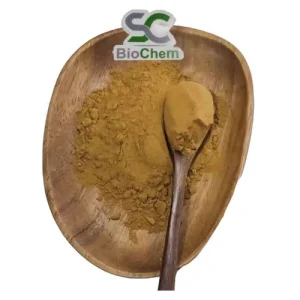 Extrato de Cogumelo Reishi 30% Pó de Cogumelo Polissacarídeo Extrato de Ganoderma Lucidum