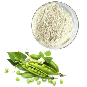 ISO Factory Supply Fava Bean Protein Isolate Powder