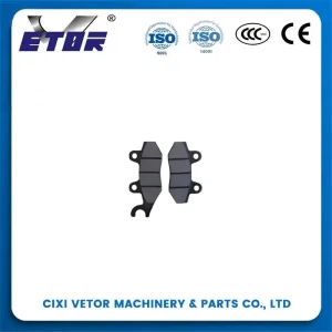 China DL250 China manufacture for Motorcycle Brake Pads Manufacturer