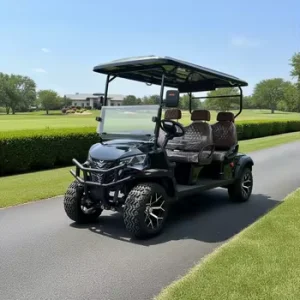 Commercial Golf Cart Fleet Vehicles Resorts Courses China Made