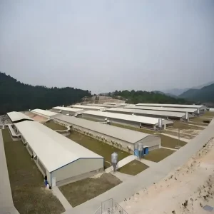 Automated Poultry Steel Structure