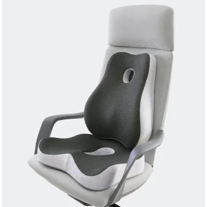 Memory Foam Lumbar Support Pillow Set