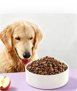 Super Premium Dog Food Dry Kibble 24% Protein