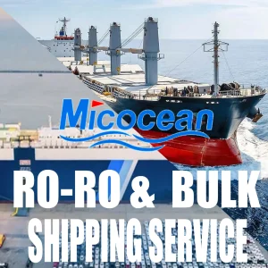 Bulk Shipping / Roro Shipping Freight Forwarder From China to The Middle East/Africa/Asia / Europe/South America etc.