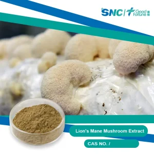 Lions Mane Extract