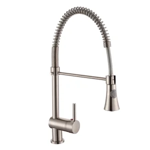 Kitchen Faucet