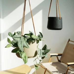 Hanging Balcony Potted Wall Hanging Cement Flowerpot for Succulents, Herbs, IVY, Ferns, Small Plants Bl19849