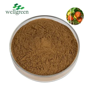 Standardized Withanolides 5% Ashwagandha Root Extract for Herbal Supplements with GMP ISO (Powder, Withania Somnifera)