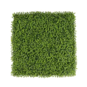 Outdoor Green Wall