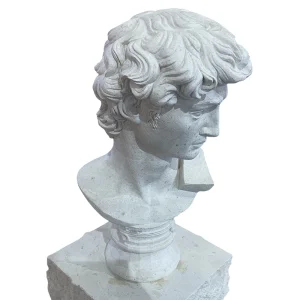 Natural Marble Limestone Stone Sculpture Famous Marble Statues David Bust