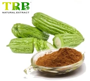 China Bitter Melon Juice Powder