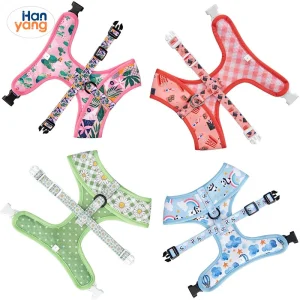 Hanyang Harness Pet Supply Manufacturrer Custom Made Products Customized Guangdong Dog Neoprene Collar Leash Poop Bag Holder Sets