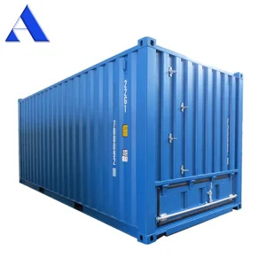 Csc 20FT Corten Steel Bulk Dry Shipping Storage Container