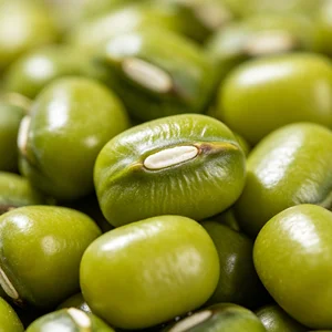 Non GMO Green Mung Beans Polished Clean Unhulled Rich Protein for Cooking Sprouting Keto Diet Bulk