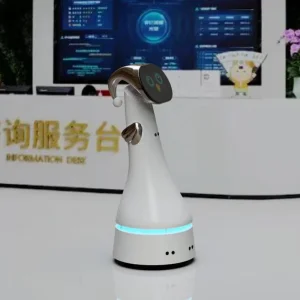 Ai-Driven Task Automation Boosting Offices Efficiency Elf Robot