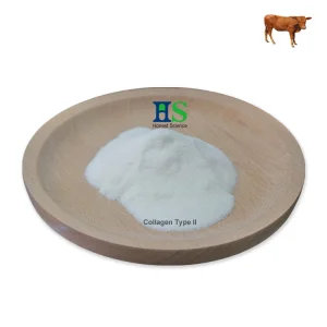 Hydrolyzed Collagen Type II