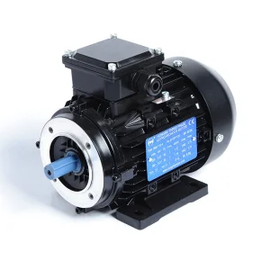 IE1 Series 380V 0.5hp Small Three Phase Ac Electric Asynchronous Induction Motors 370W 2pole