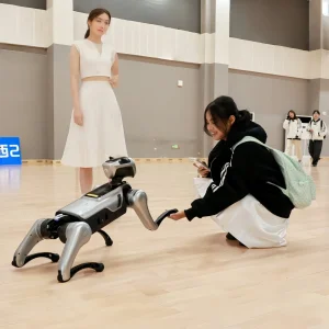 Programmable Robot Dog