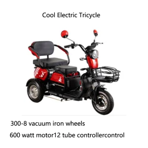 Electric Tuk Tuk Control