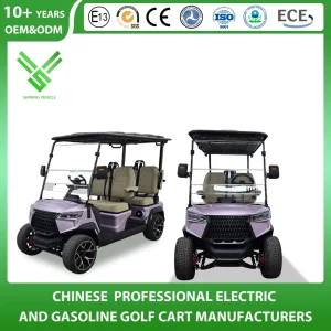6+2 Seater 8 Passenger Lithium Sightseeing Hunting off Road Club Car Street Legal Utility Mini Tourist Solar Panel Trolley Lead Acid Gas Powered Golf Cart